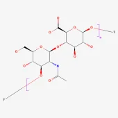 Hyaluronic-Acid