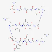 Peptide-I