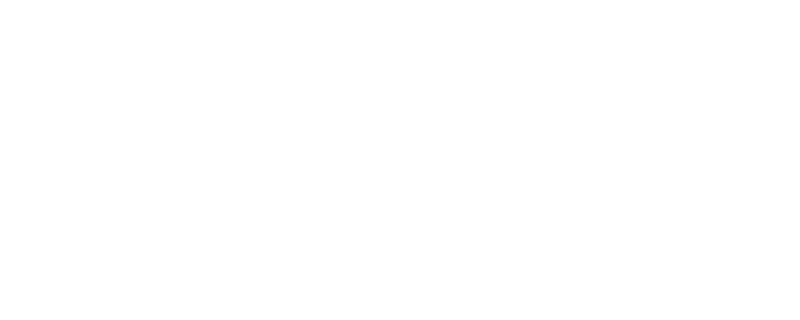 zicail-white-logo